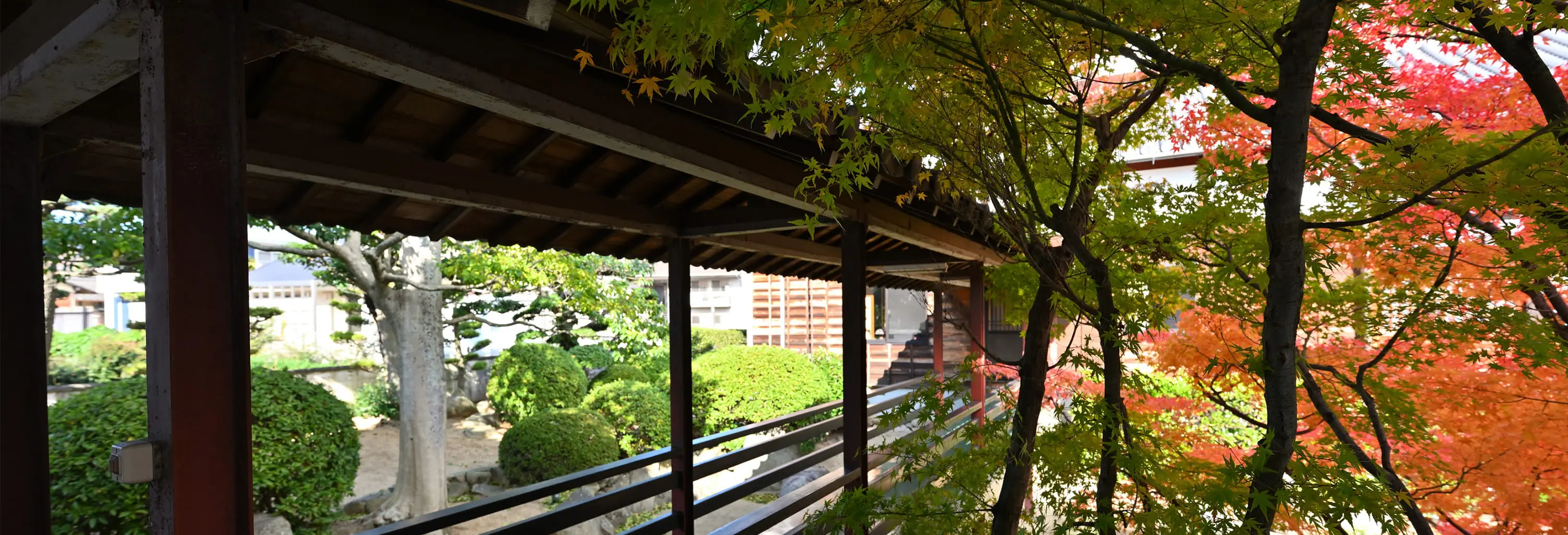 常善寺