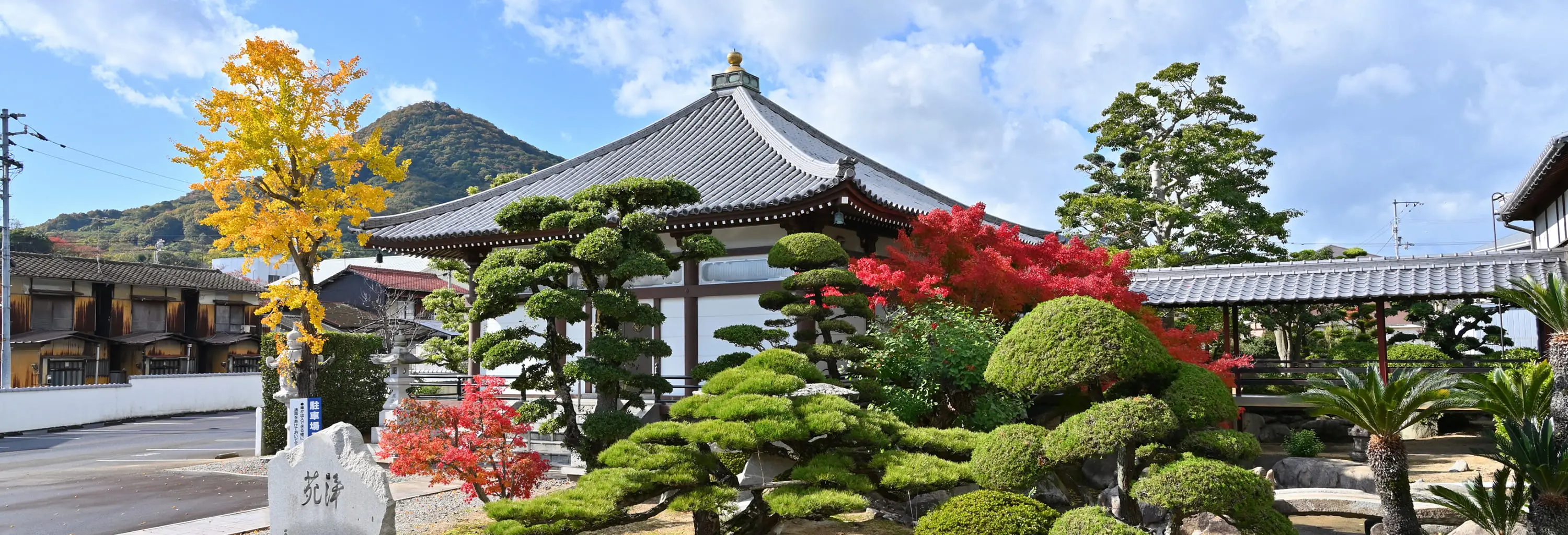 常善寺