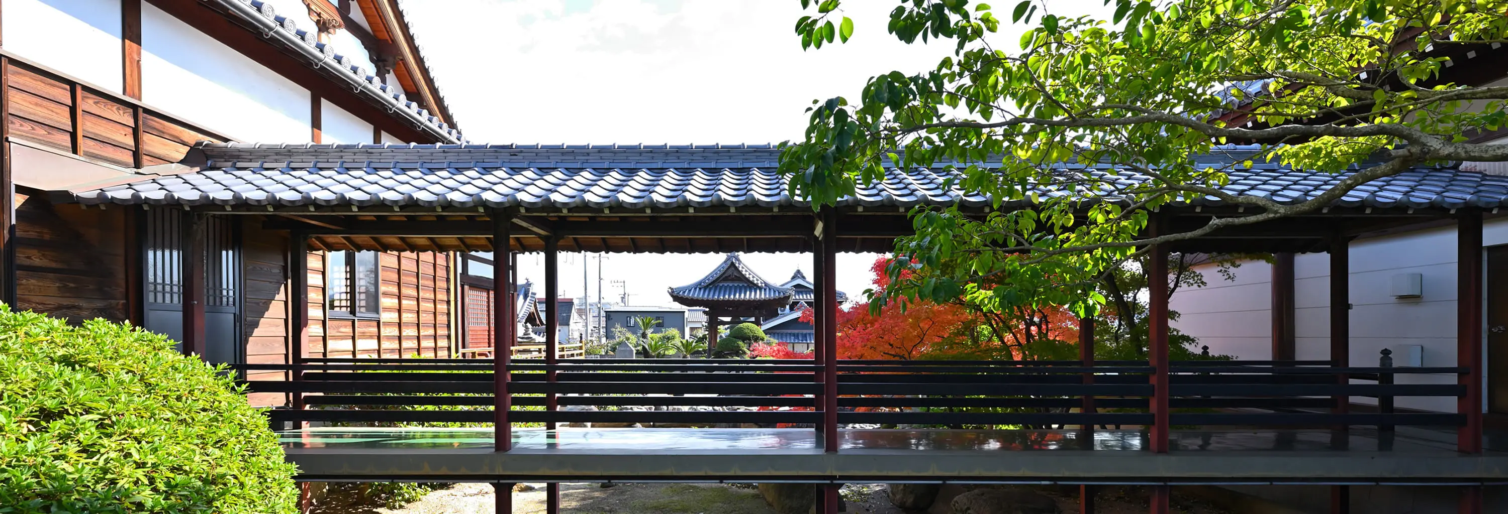常善寺